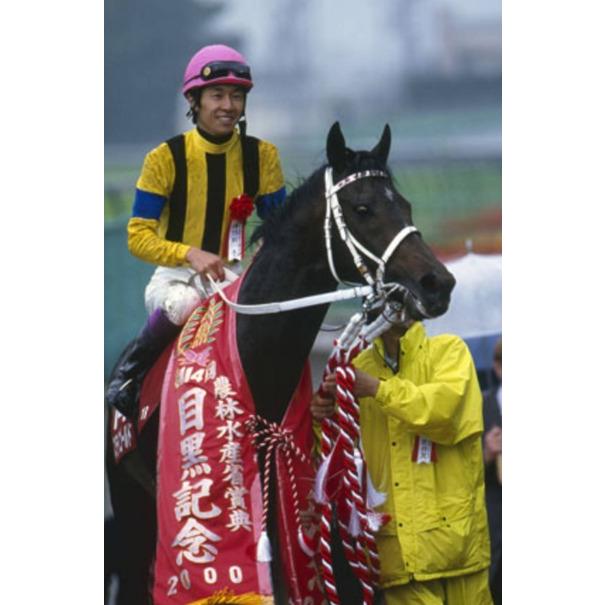 ステイゴールド ぬいぐるみ Mサイズ 競馬 アイドルホース 01年 香港