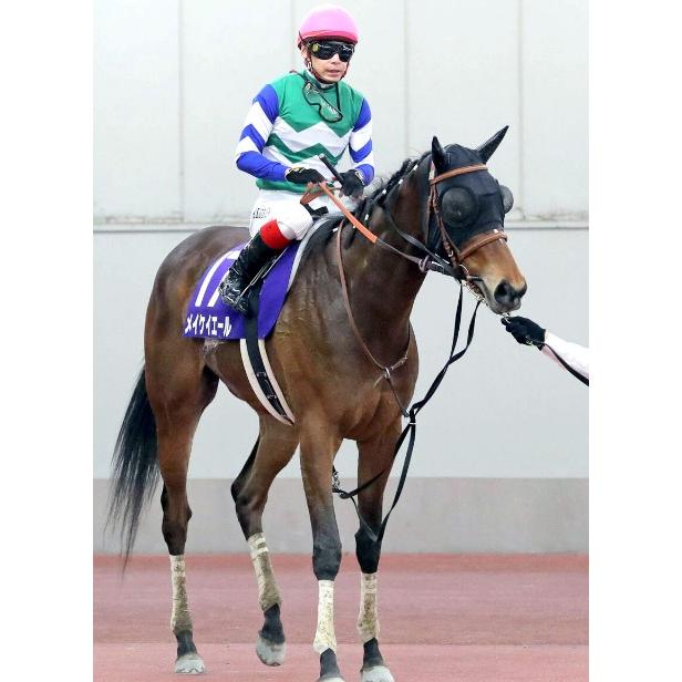 メイケイエール ぬいぐるみ Mサイズ 競馬 アイドルホース 22年京王杯