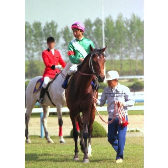 シンボリルドルフ ぬいぐるみ Sサイズ 競馬 アイドルホース 第51回日本