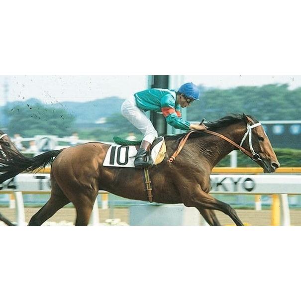 シンボリルドルフ ぬいぐるみ Sサイズ 競馬 アイドルホース 第51回日本