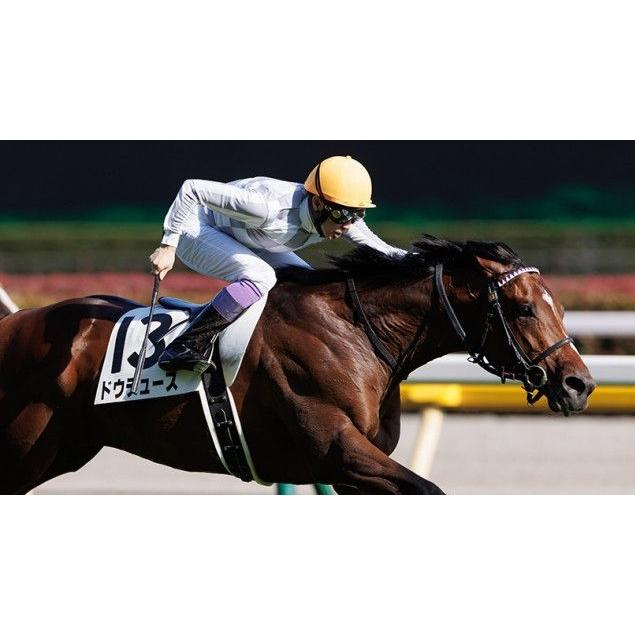 ドウデュース ジャパンカップVer！ ぬいぐるみ 超BIGサイズ！ 競馬