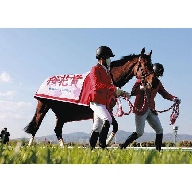 リバティアイランド 三冠制覇特別仕様！ Mサイズ！ ぬいぐるみ