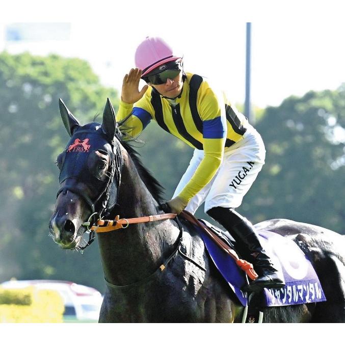 ジャンタルマンタル ぬいぐるみ Sサイズ アイドルホース 競馬グッズ 第