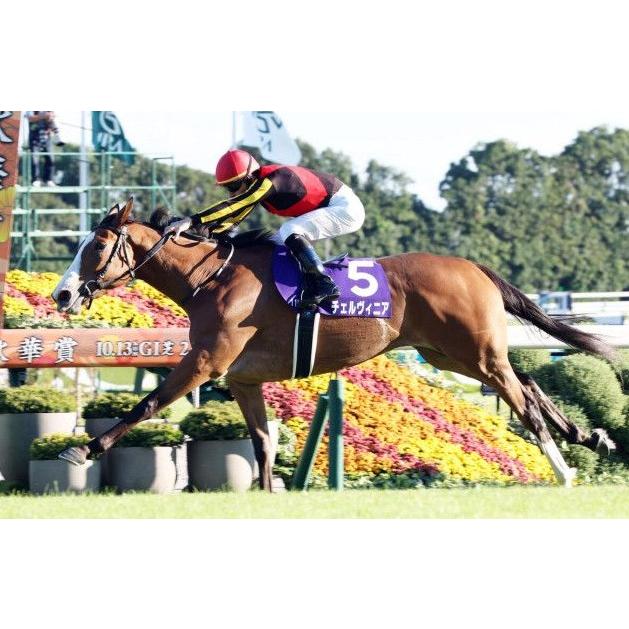 チェルヴィニア ぬいぐるみ Sサイズ アイドルホース 競馬グッズ 第85回