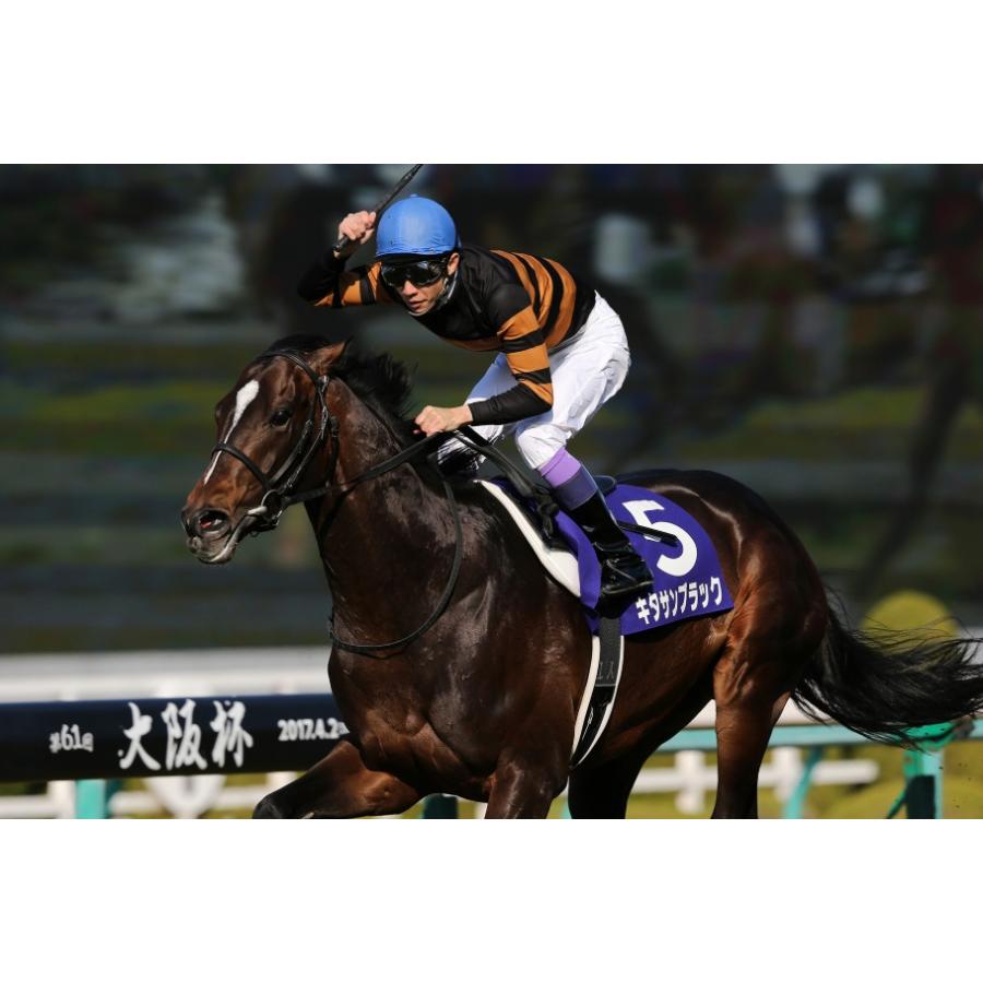 キタサンブラック ぬいぐるみ 超BIGサイズ！（Lサイズ） アイドル