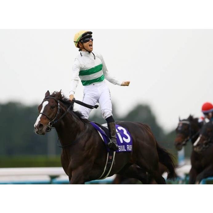 ソウルラッシュ ぬいぐるみ Sサイズ アイドルホース 2025年