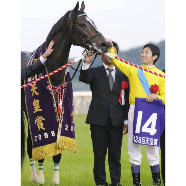 ウオッカ ぬいぐるみ Mサイズ アイドルホース 第74回日本ダービー優勝