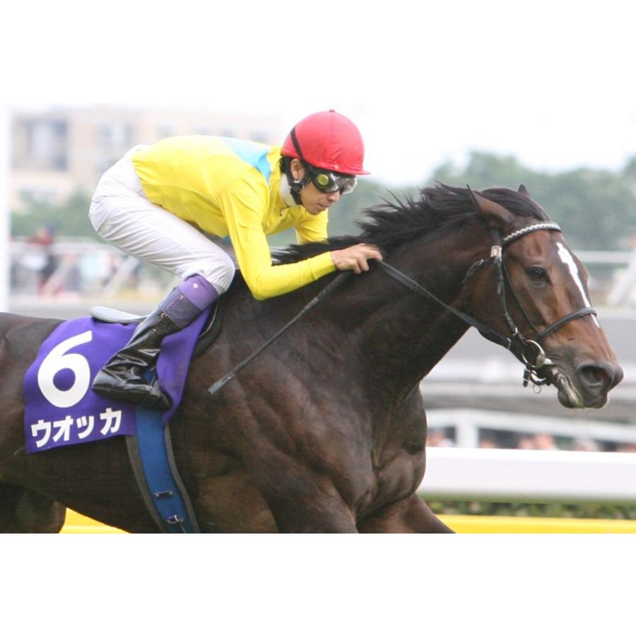 ウオッカ ぬいぐるみ Mサイズ アイドルホース 第74回日本ダービー優勝
