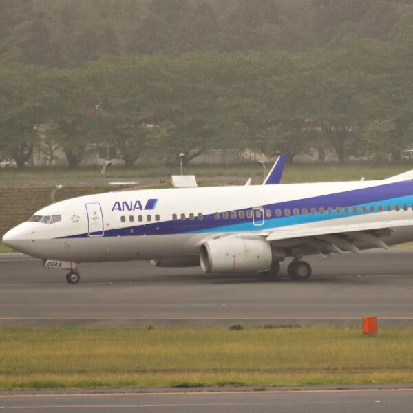 AVIATIONTAG B737 JA02AN ANA WHITE アビエーションタグ 全日空 機体