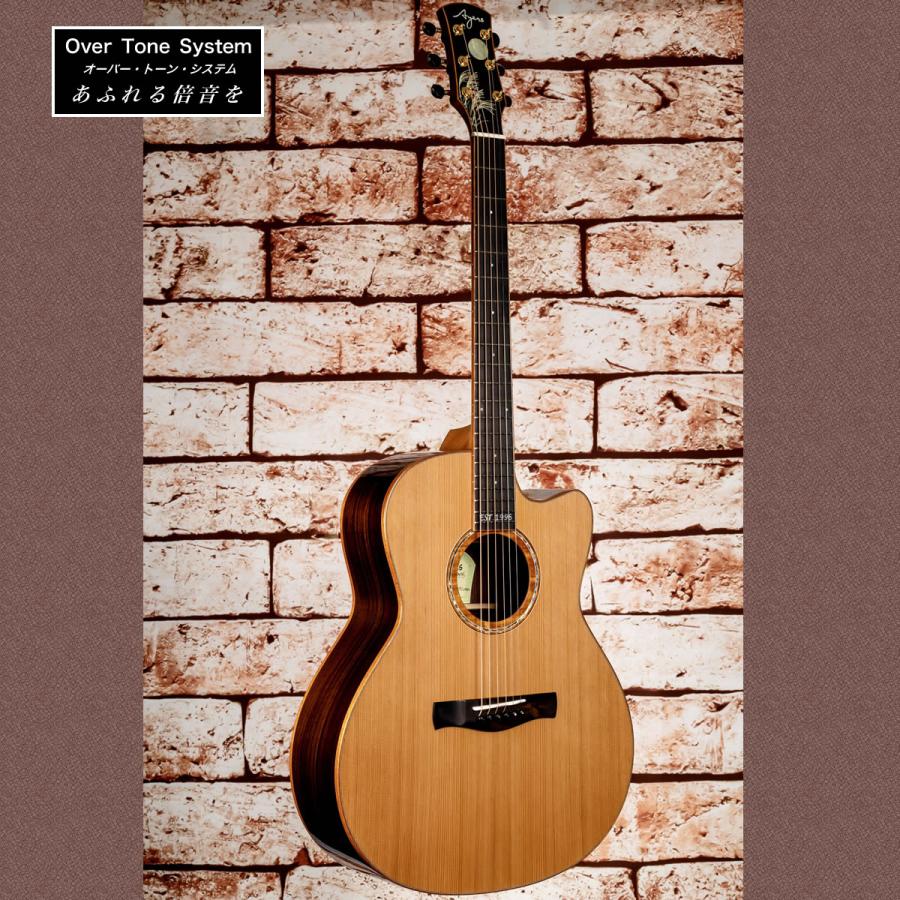 Ayers A07-C 1996 Silver Grass OTS JP Custom【トップ板：シトカ