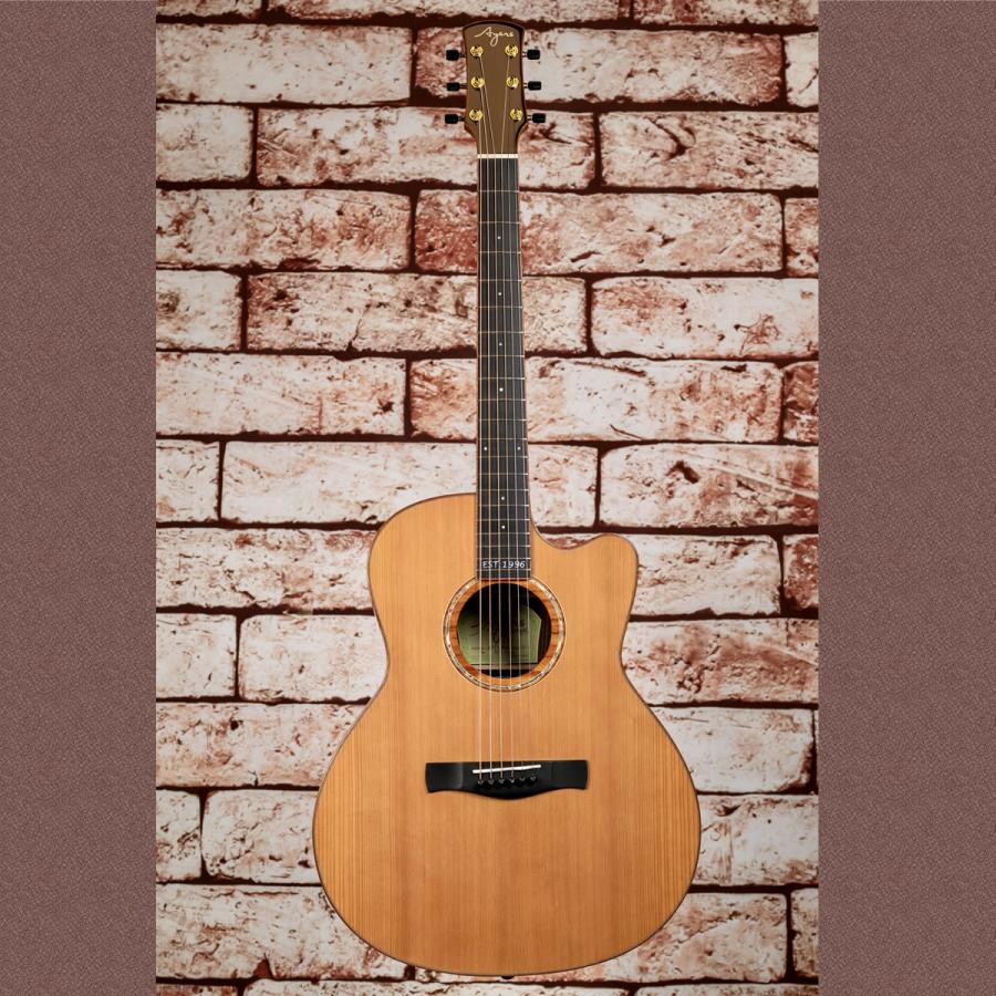 Ayers A07-C 1996 cedar OTS JP Custom : マニアが満足するギター