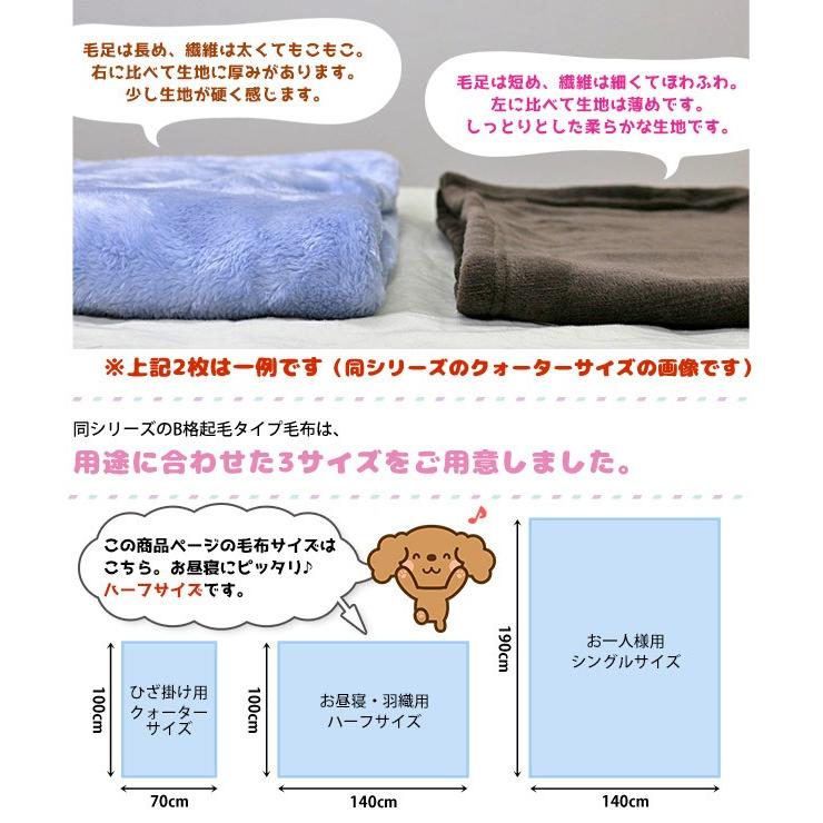 西川（nishikawa） 京都西川 B格品 ハーフケットB（ハーフサイズ） 140