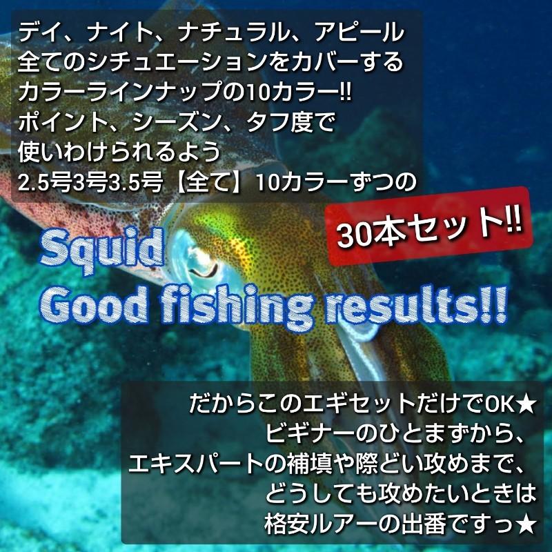 エギ 3.5号 3号 3.0号 2.5号 セット 餌木 30本 まとめ買い エギング