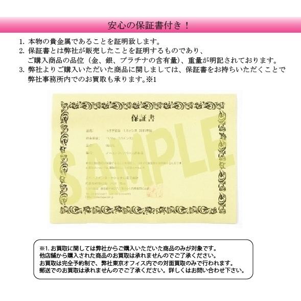 バッファロー・インディアン 純銀 コイン 1オンス クリアケース入り