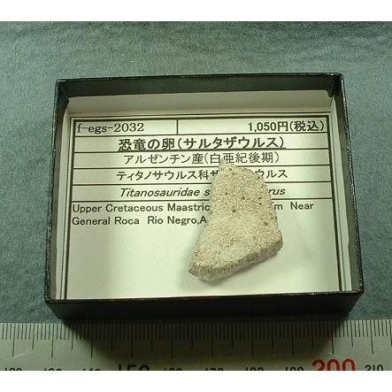 恐竜の卵（サルタザウルス）の化石2032 : ラピス - 通販 - Yahoo