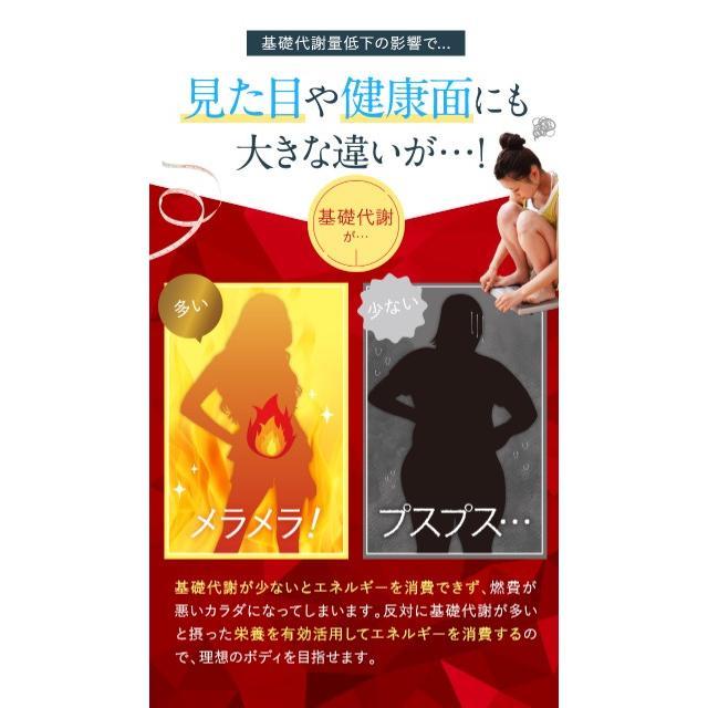 ドクタースラリ Dr.Surari ダイエット サプリメント 30粒 約1ヶ月分