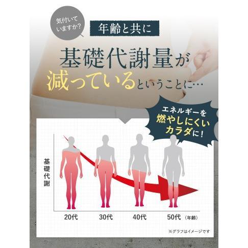 ドクタースラリ Dr.Surari ダイエット サプリメント 30粒 約1ヶ月分