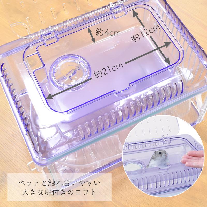 GEX（ジェックス） クリアフロント30 クリスタル / ラベンダー