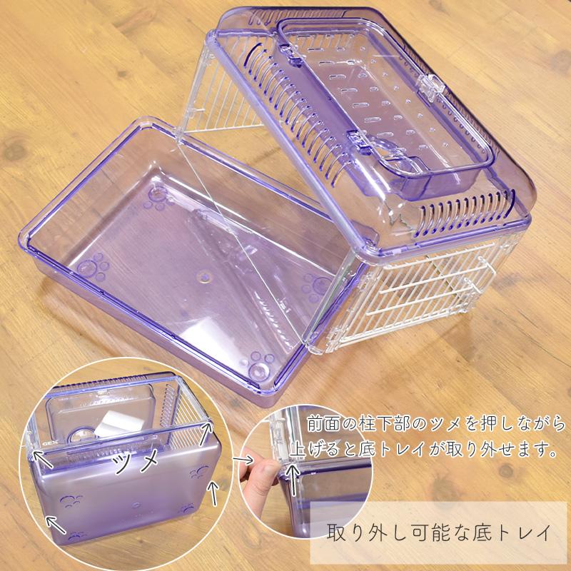 GEX（ジェックス） クリアフロント30 クリスタル / ラベンダー