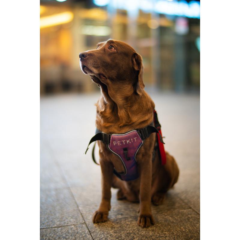 中一光学 SPEEDMASTER 50mm F0.95 III ニコンZマウント フルサイズ 単