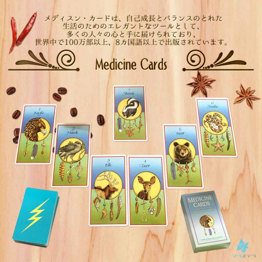 メディスンカード 改訂増補版 英語版 日本語解説書付き オラクルカード