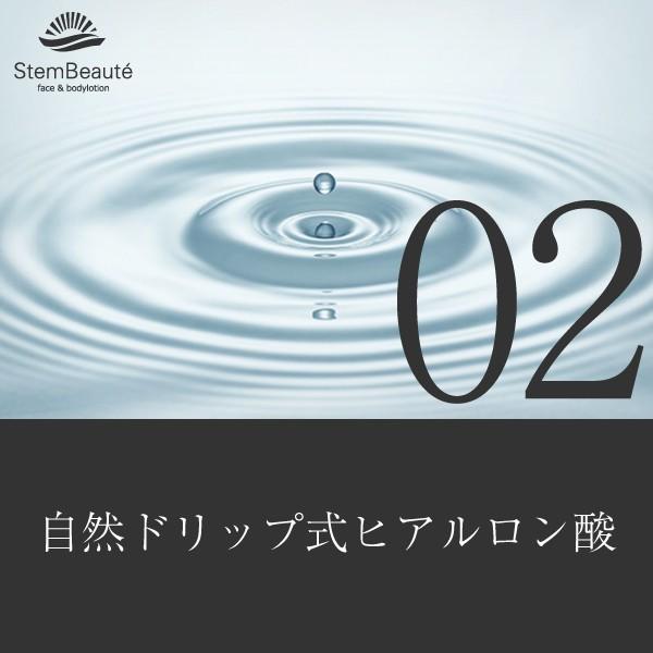 特別セット】2本セットStemBeaute（ステムボーテ）face&bodylotion