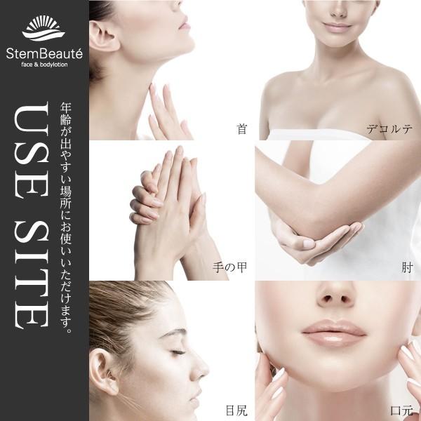 特別セット】2本セットStemBeaute（ステムボーテ）face&bodylotion