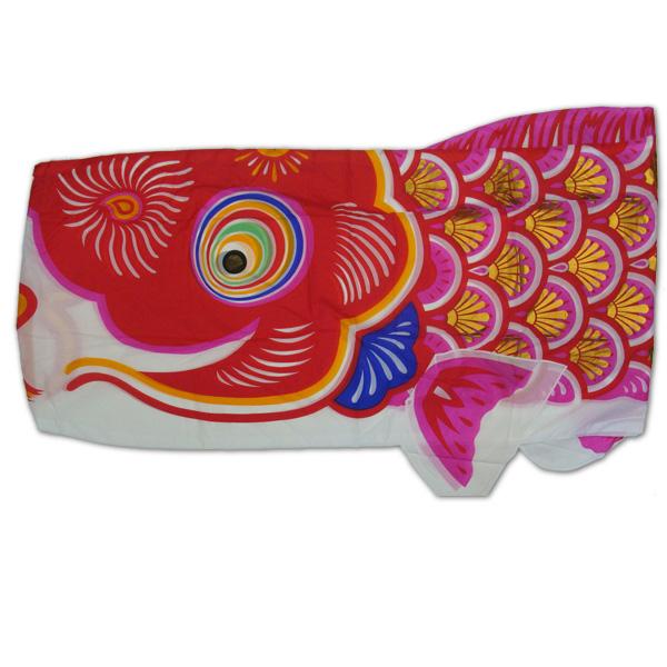 鯉のぼりセット 鯉のみ 在庫処分 アウトレット 特価 黄金旭鯉 6m 5匹