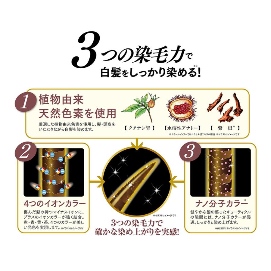 利尻 ピュール 利尻ヘアカラートリートメント ナチュラルブラウン 200g