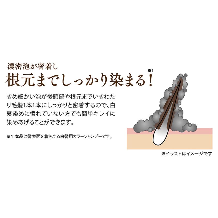 利尻 炭酸カラーシャンプー ダークブラウン 180g : サンドラッグe-shop