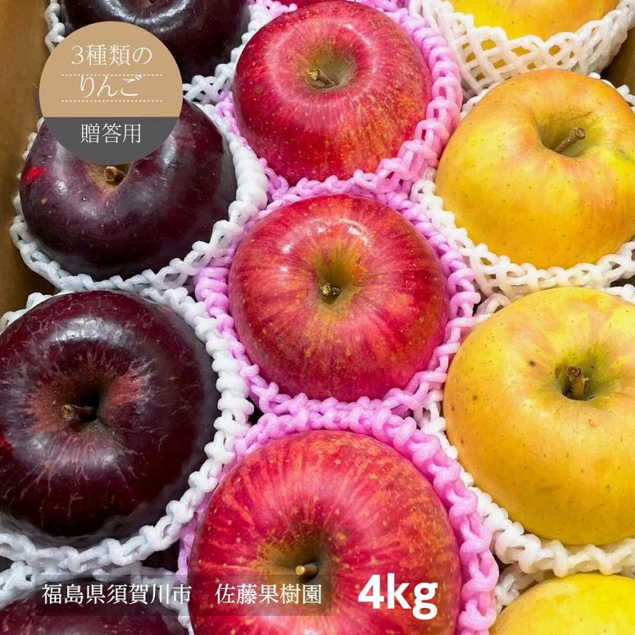 りんご 【佐藤果樹園】 御歳暮 3種の林檎セット ふじ ぐんま名月 こう