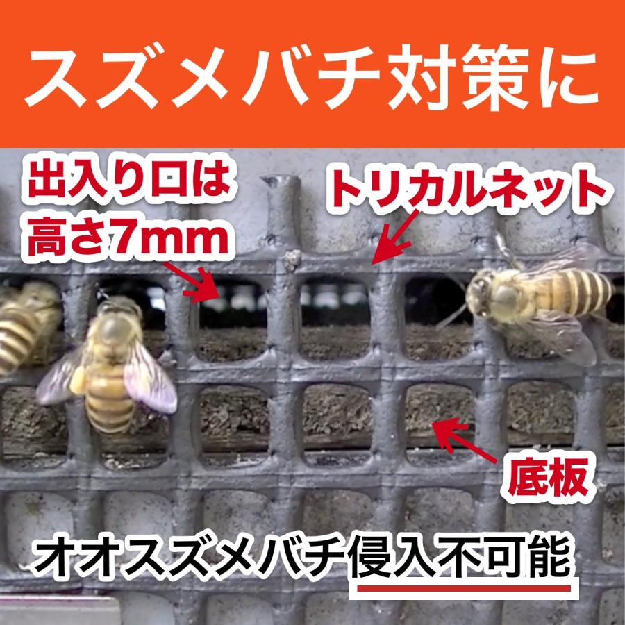 重箱式巣箱4段セット : 週末養蜂家ショップ - 通販 - Yahoo!ショッピング