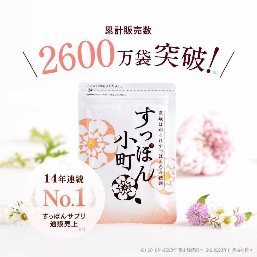 ていねい通販 すっぽん小町 元気とキレイを応援 サプリ 62粒 (1ヶ月分