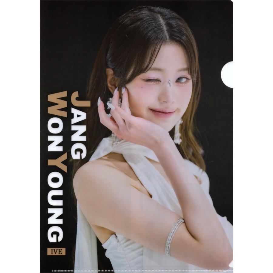 ウォニョン グッズ クリアファイル IVE アイブ A4サイズ : スター