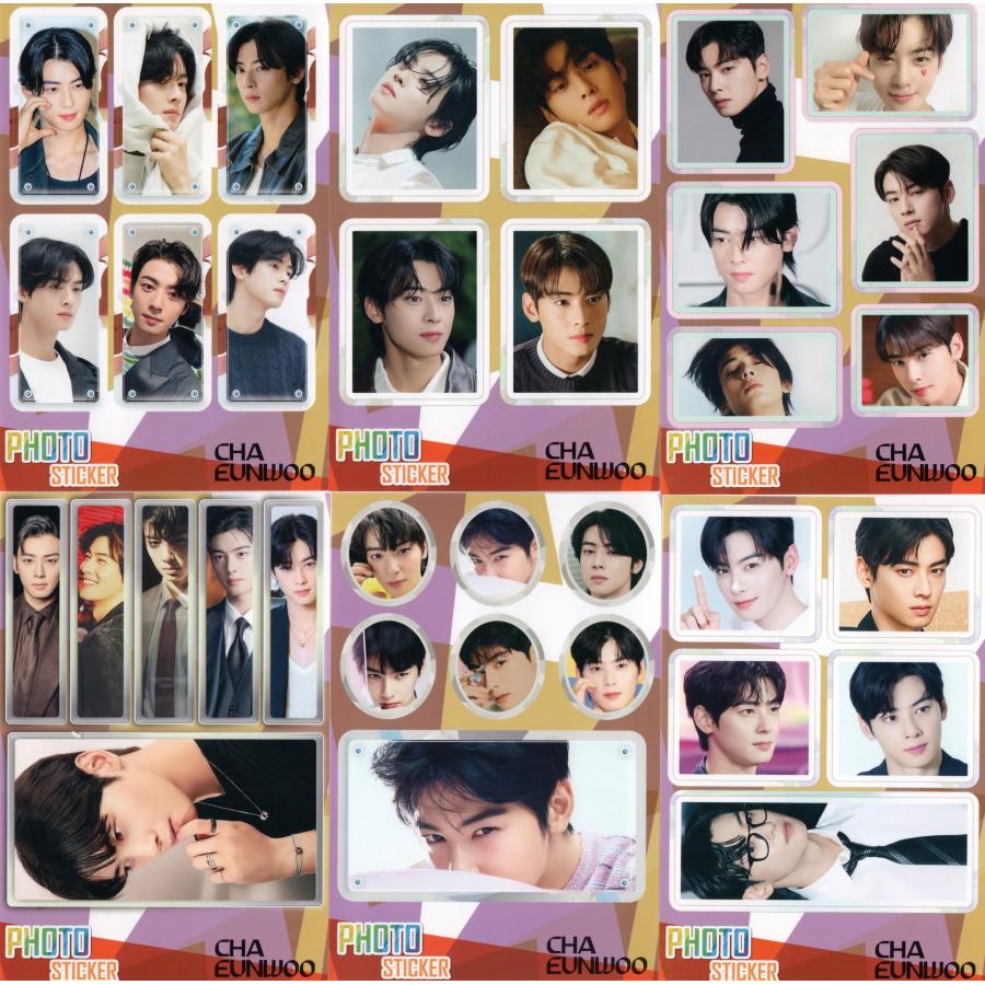 チャ・ウヌ ASTRO アストロ チャウヌ グッズ ステッカーセット 87枚入