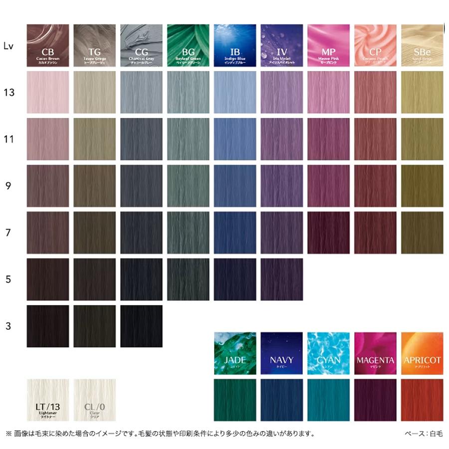 SHISEIDO PROFESSIONAL（資生堂プロフェッショナル） 資生堂