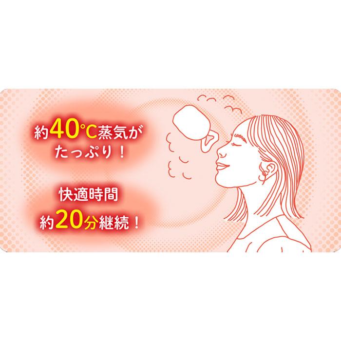 Kao（花王） めぐりズム 蒸気めぐるアイマスク5枚入り 選べる6箱 計30