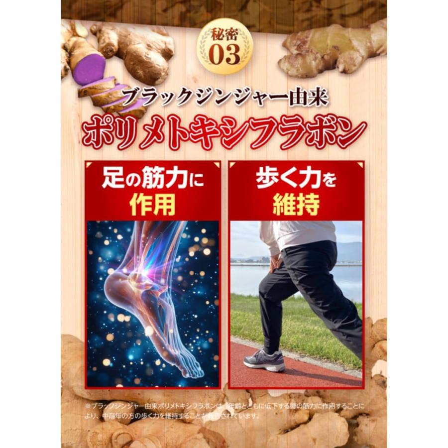 リジェネシアファイン 90粒30日分 : PositivoRegalo - 通販 - Yahoo