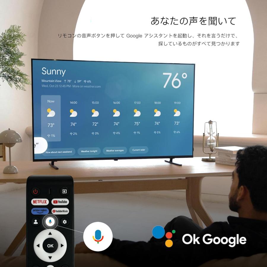 FPD チューナーレス テレビ 4K 65インチ Google TV 65V型 液晶テレビ