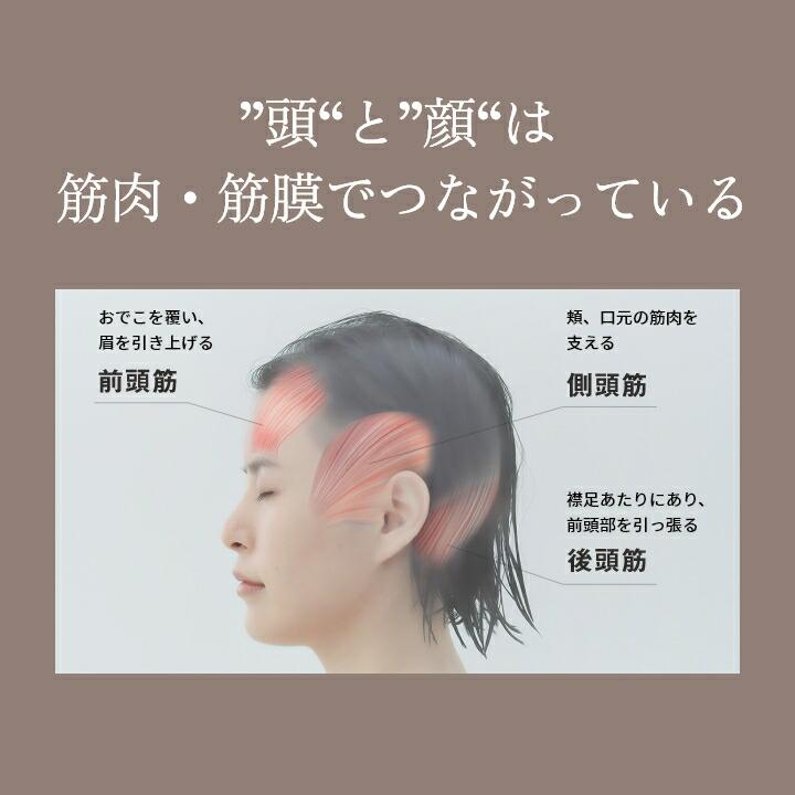 Panasonic（パナソニック） 公式店 美顔器 バイタリフト ブラシ EH