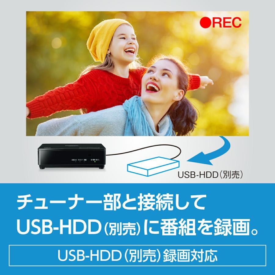 プライベート・ビエラ 公式店 パナソニック ポータブルテレビ UN-10E11