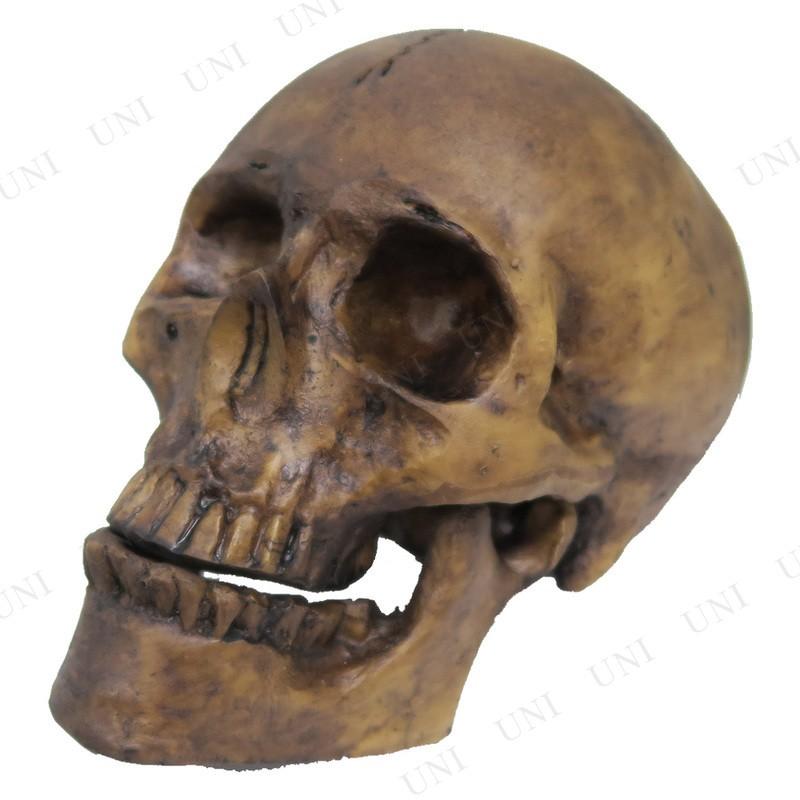 スカル ドクロ ハロウィン 雑貨 怖い ガイコツ 骸骨 スケルトン 置物