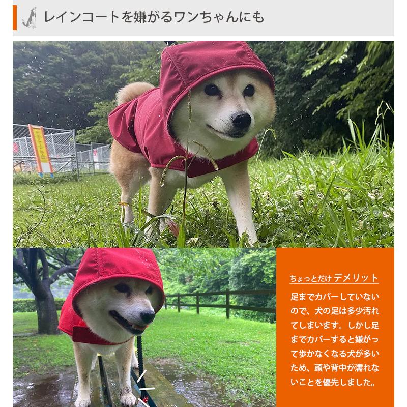 わんちゃんグッズ付 DeLoreans 犬用レインコート Lサイズ 穴澤賢 中型
