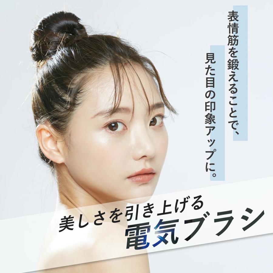 SALONIA（サロニア） emsリフトブラシ sal22206sl 美顔器 ems フェイス