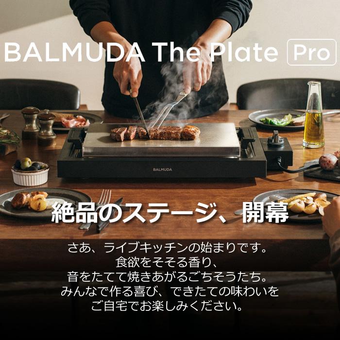 BALMUDA（バルミューダ） 家事ヤロウ!!!で紹介 ザ・プレート プロ