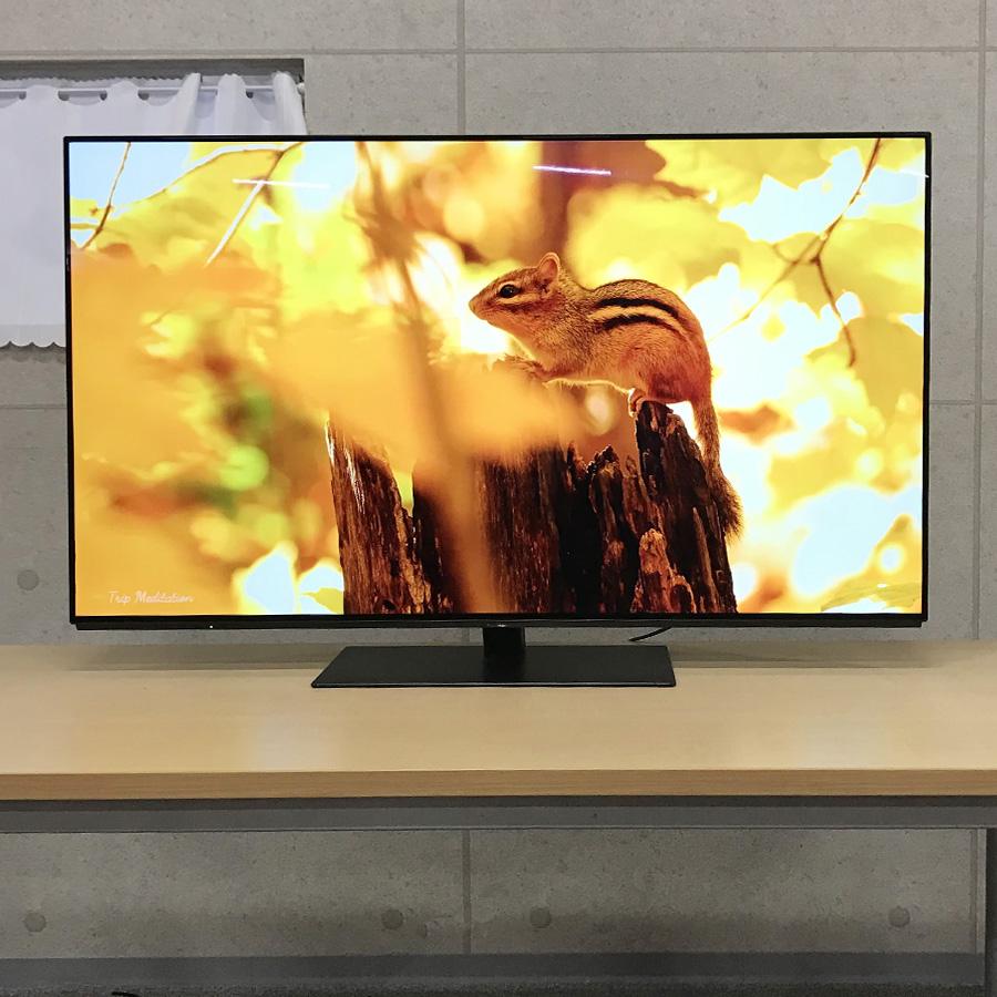 VIERA パナソニック 有機ELテレビ TH-55GZ1000 55インチ ビエラ 4K有機