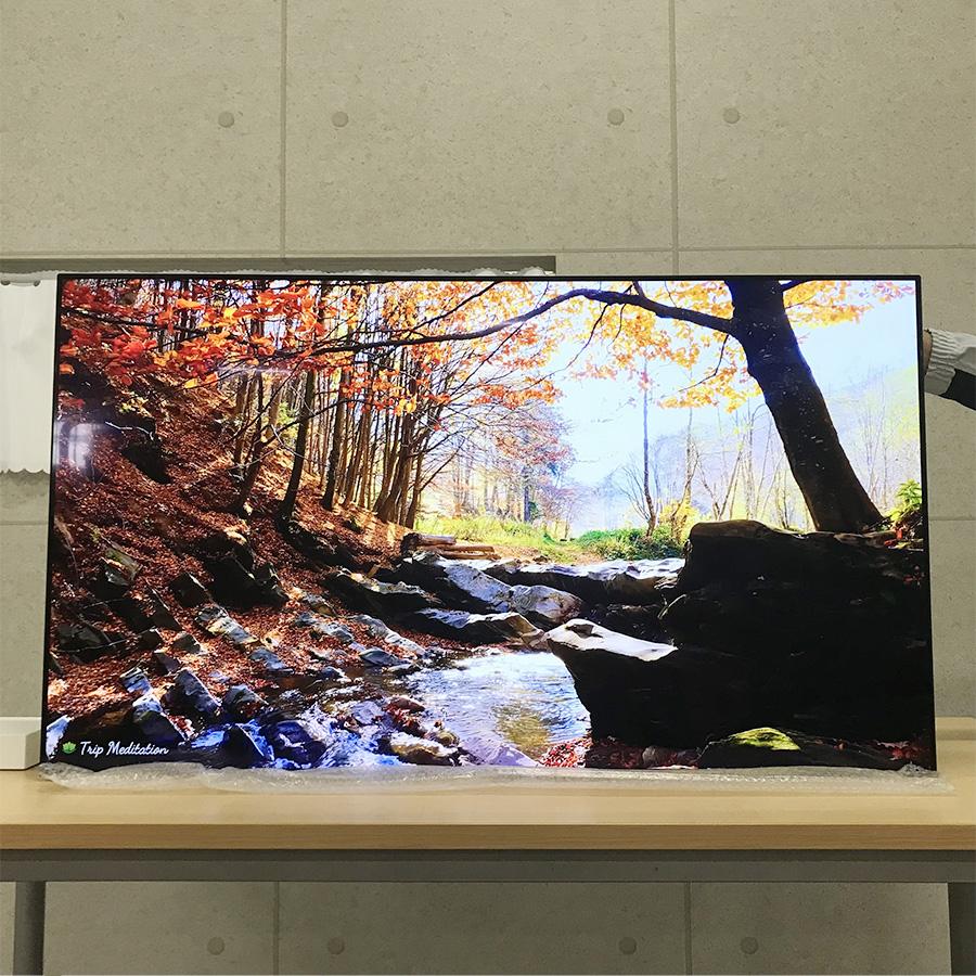 VIERA パナソニック 有機ELテレビ TH-55LW1L 55L 55型 ビエラ 4K有機EL