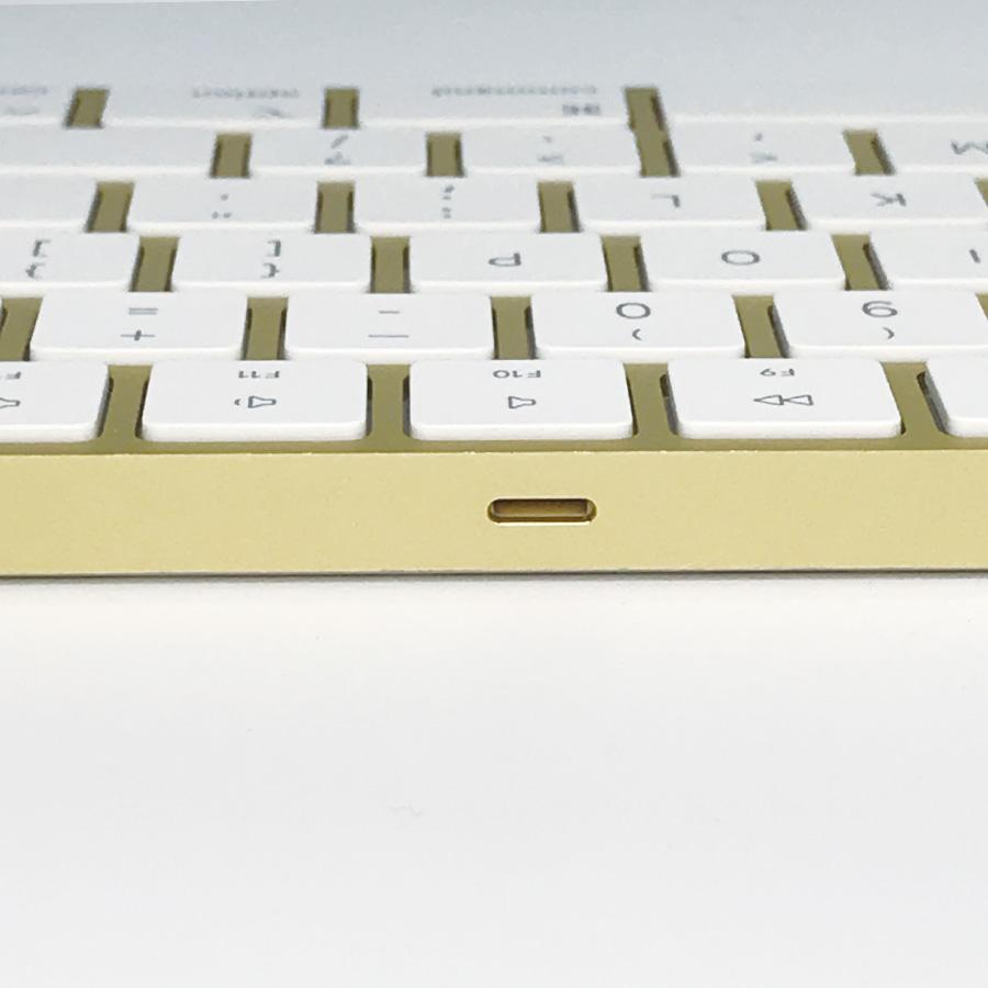 Apple Apple純正 MagicKeyboard USキー A2520 テンキー付 と Magic