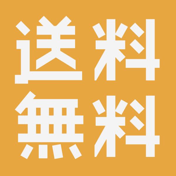 ノバ1フォールドアップX5 透明/肌色 88225 88230 88235 88240 88245