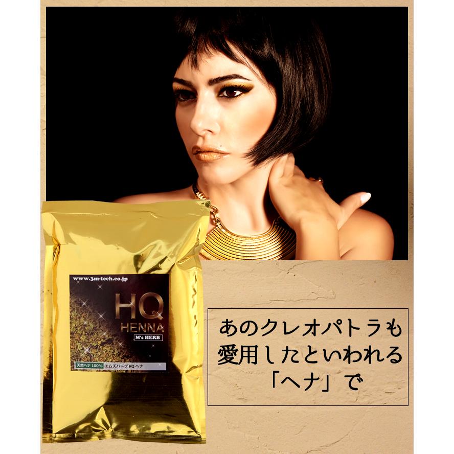 10種類から選べるエムズヘナ＆ハーブ100g×2個セット 白髪染め 男性用